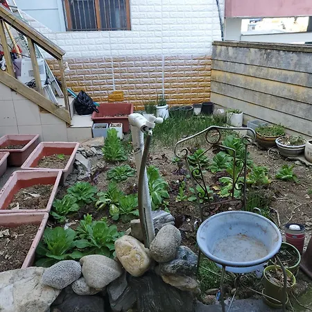 하늘노래방 통유리사색방 전체편백 방4 욕실4 바베큐 반려견100평집밭