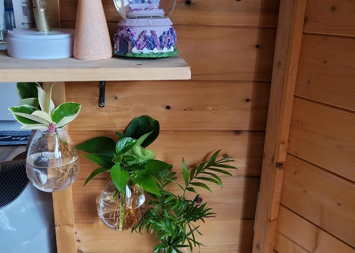 하늘노래방 통유리사색방 전체편백 방4 욕실4 바베큐 반려견100평집밭 Maison d'hôtes *