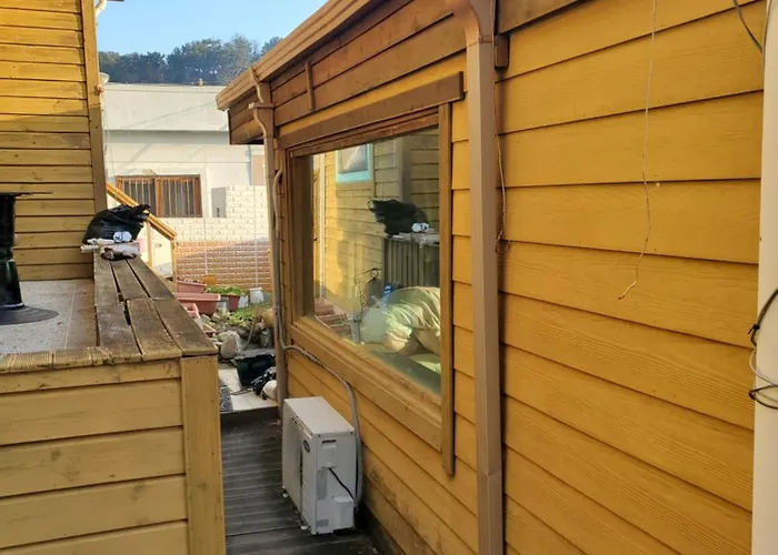 하늘노래방 통유리사색방 전체편백 방4 욕실4 바베큐 반려견100평집밭 Maison d'hôtes