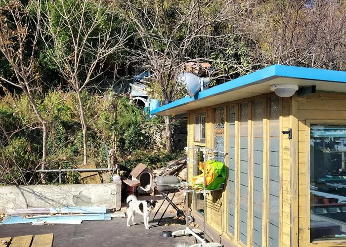 하늘노래방 통유리사색방 전체편백 방4 욕실4 바베큐 반려견100평집밭 Maison d'hôtes Busan