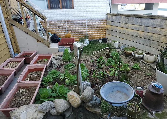하늘노래방 통유리사색방 전체편백 방4 욕실4 바베큐 반려견100평집밭 Maison d'hôtes Busan